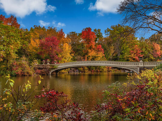 A view of a bridge in Central Park New York with red, yellow, and green fall foliage