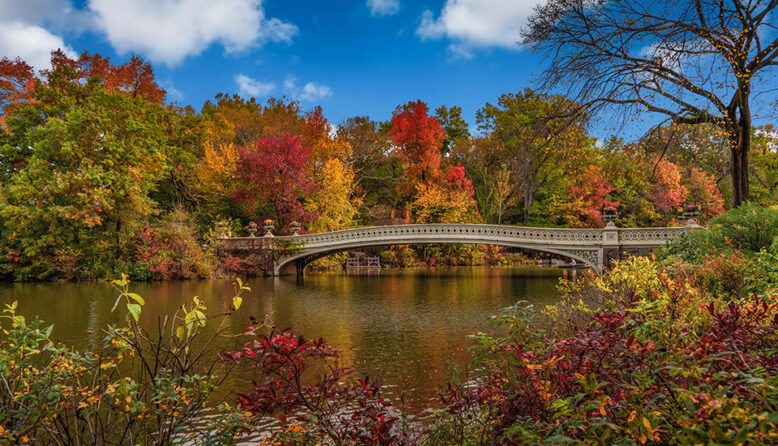A view of a bridge in Central Park New York with red, yellow, and green fall foliage