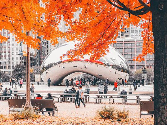In Chicago, Cloudgate, also known as the Bean, is framed by bright orange foliage on a tree in the foreground