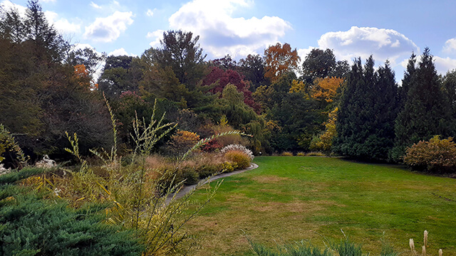 In Chicago, a grassy knoll surrounded by trees with colorful fall leaves