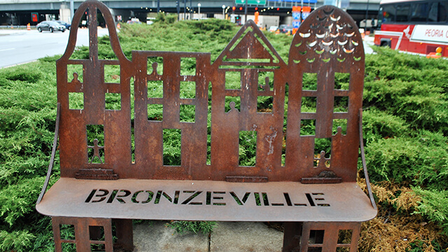 a market in Bronzeville Chicago