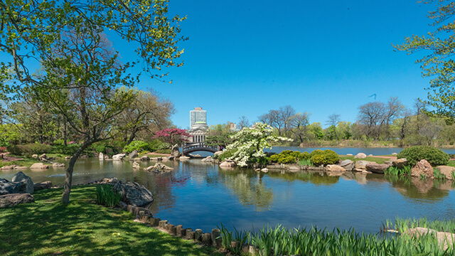 a tranquil pond in the Garden of the Phoenix Japanese garden in Chicago