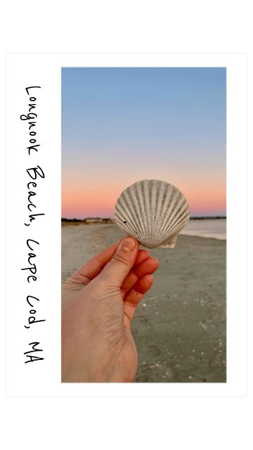 a hand holding up a seashell on the beach with sunrise in the background