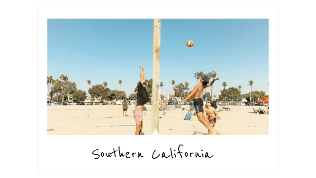 a polaroid photo of a group of people playing beach volleyball with palm trees in the background