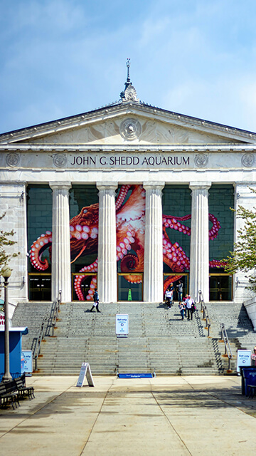 The neoclassical exterior of the John G. Shedd Aquarium in Chicago, featuring grand stone steps leading up to towering white columns and a large, colorful octopus image displayed behind the main entrance.