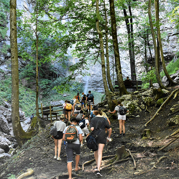 A group hiking on a forested trail as seen from behind